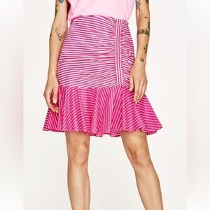 Zara  Pink Striped Skirt